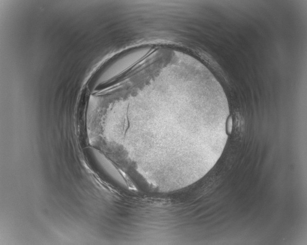 X0000078840676200612111556