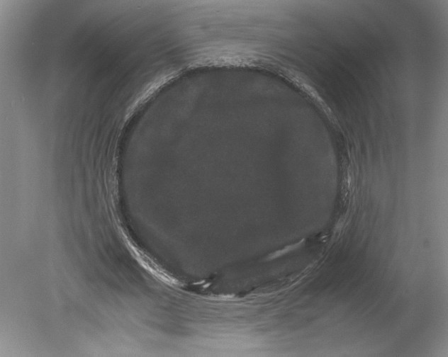 X0000078840677200612111556