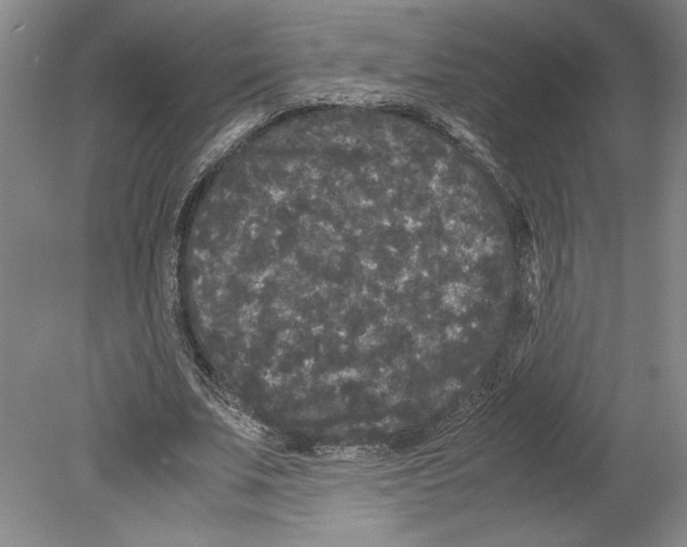 X0000078840679200612111556