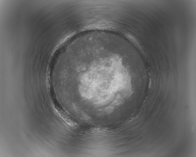 X0000078840680200612111556