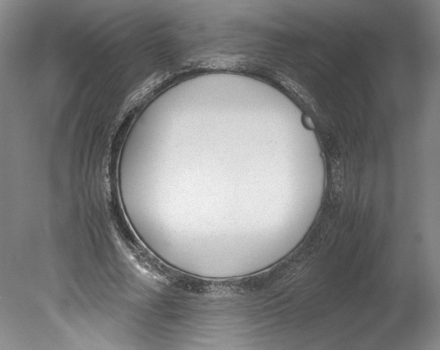 X0000078840682200612111556