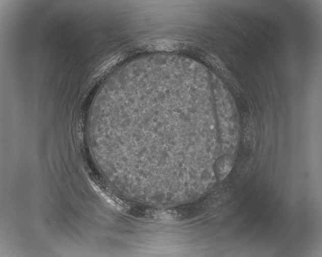 X0000078840683200612111556