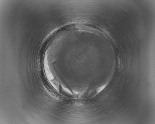 X0000078840684200612111556