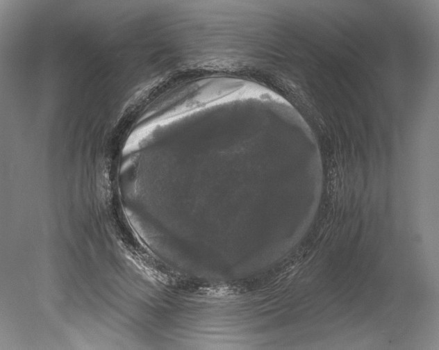 X0000078840688200612111556