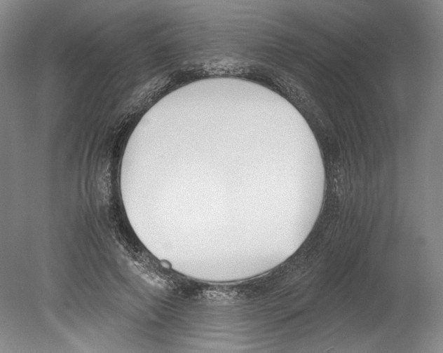 X0000078840690200612111556