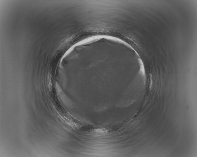 X0000078840692200612111556