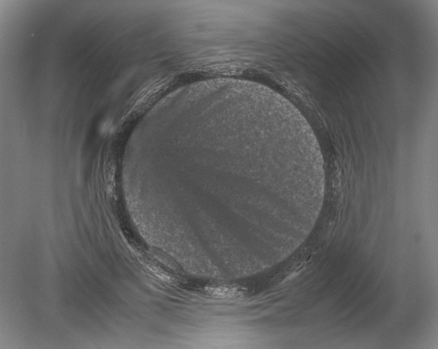 X0000078840693200612111556