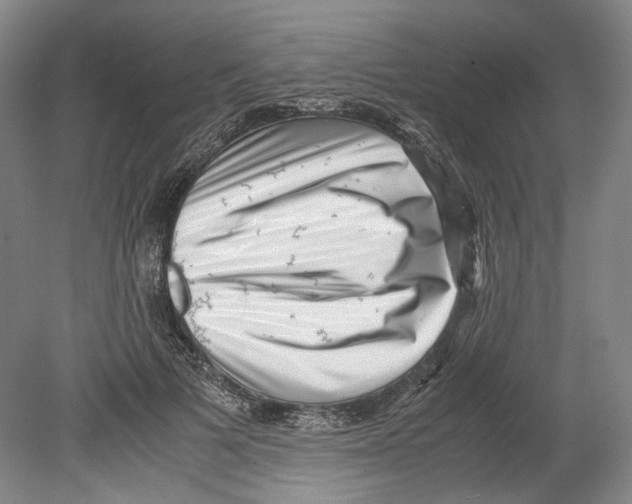 X0000078840697200612111556