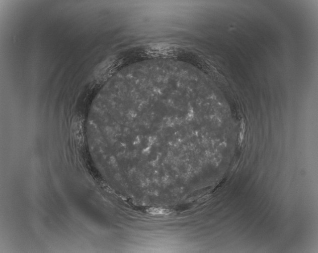 X0000078840699200612111556