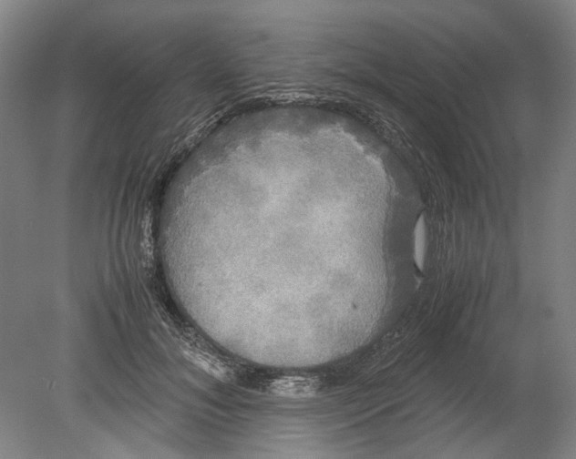 X0000078840700200612111556