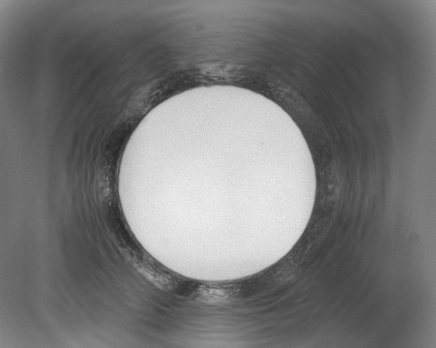 X0000078840706200612111555