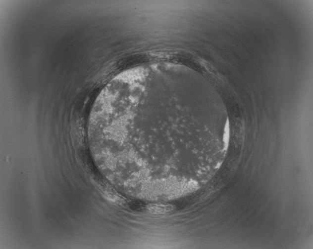 X0000078840707200612111555