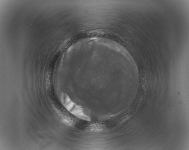 X0000078840708200612111555