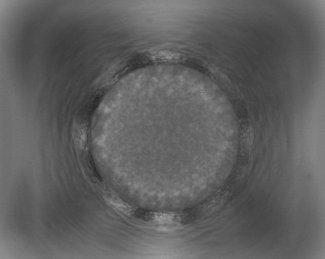 X0000078840709200612111555