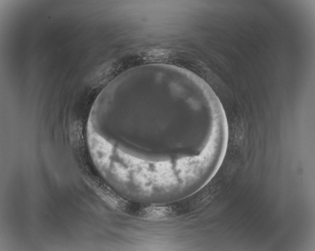 X0000078840711200612111555