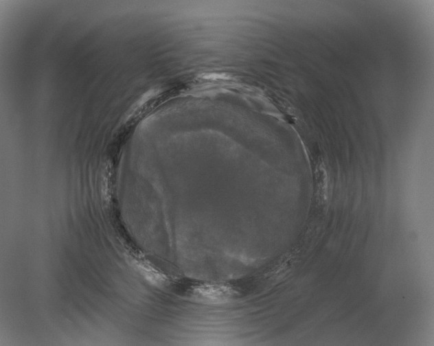 X0000078840712200612111555