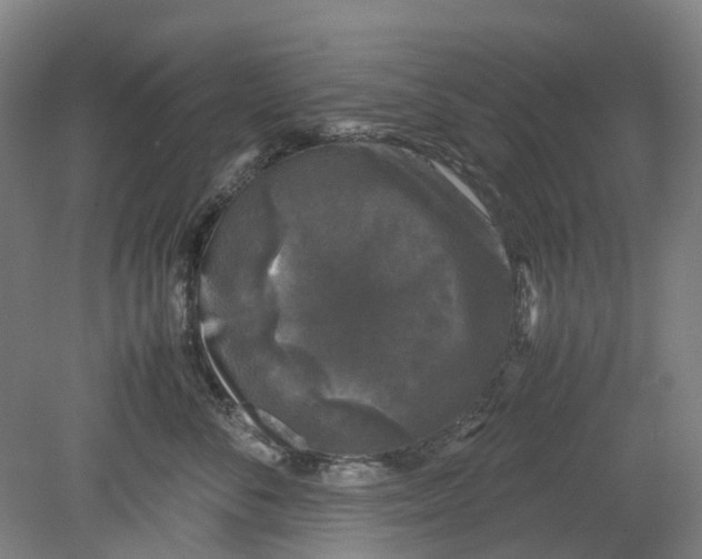 X0000078840716200612111555