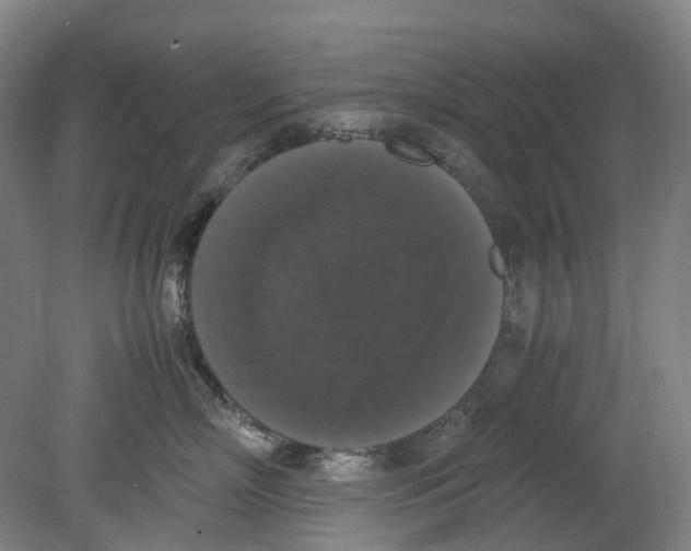 X0000078840718200612111555