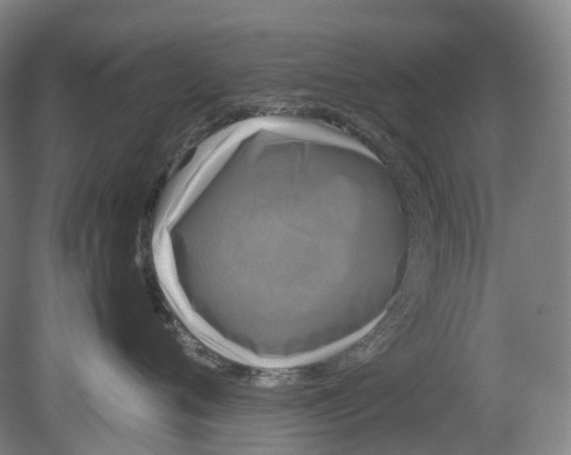 X0000078840720200612111555