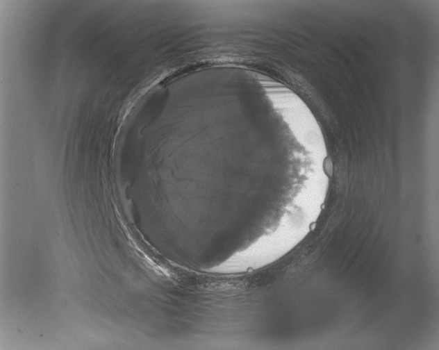 X0000078840721200612111554