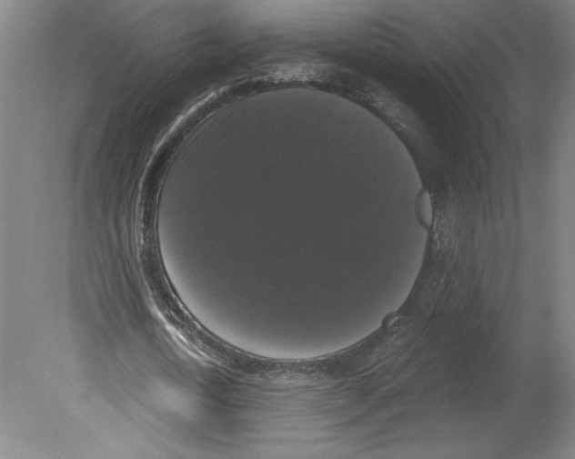 X0000078840722200612111554