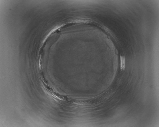 X0000078840723200612111554