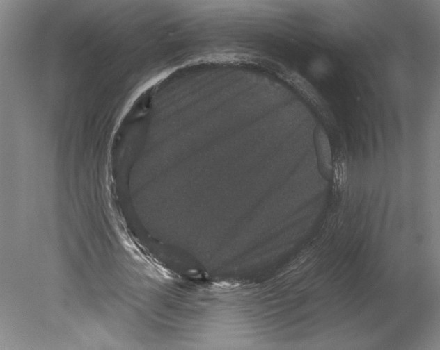 X0000078840724200612111554