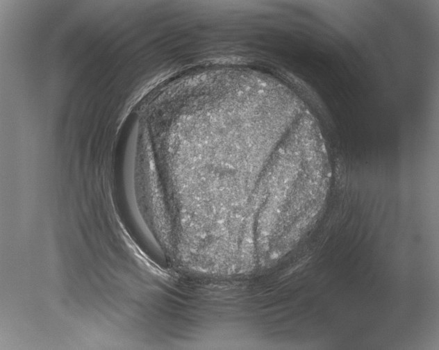 X0000078840725200612111554