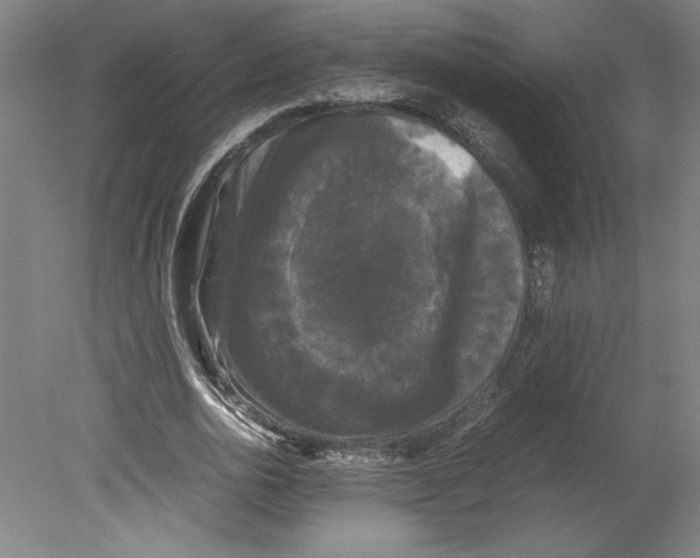 X0000078840726200612111555