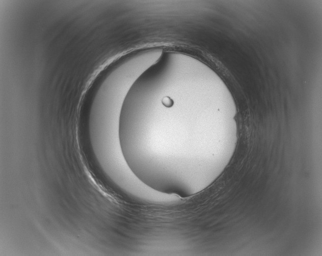 X0000078840728200612111555