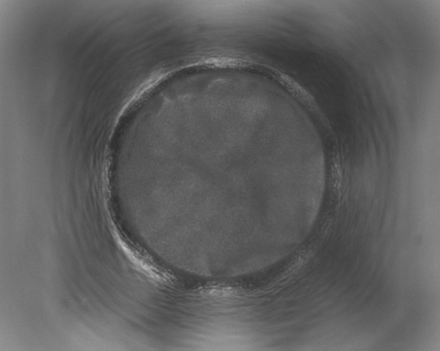 X0000078840730200612111555