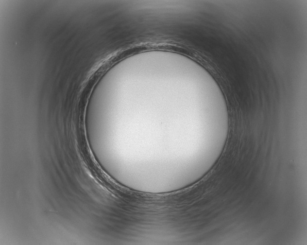 X0000078840732200612111555