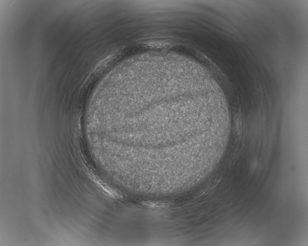 X0000078840733200612111555