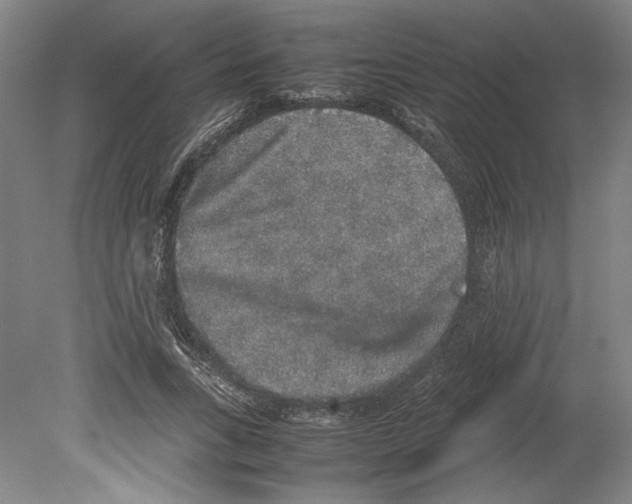 X0000078840735200612111555