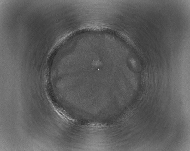 X0000078840736200612111555