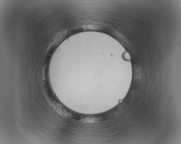 X0000078840738200612111555