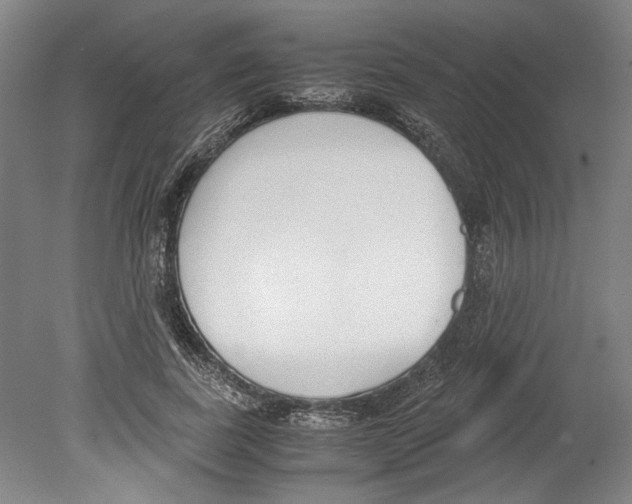 X0000078840739200612111555