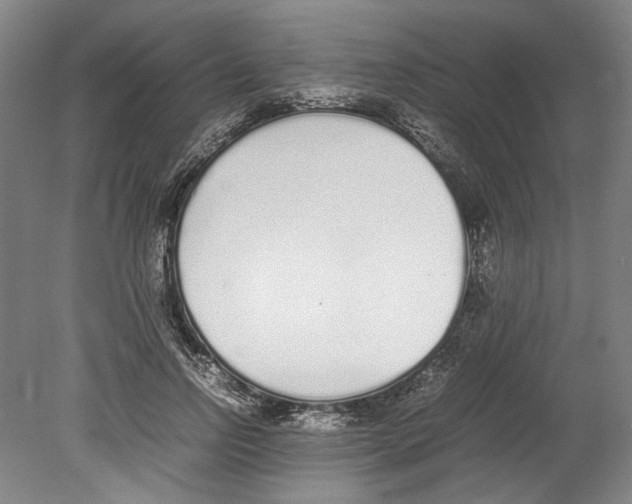 X0000078840742200612111555