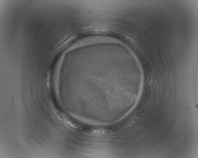 X0000078840744200612111555