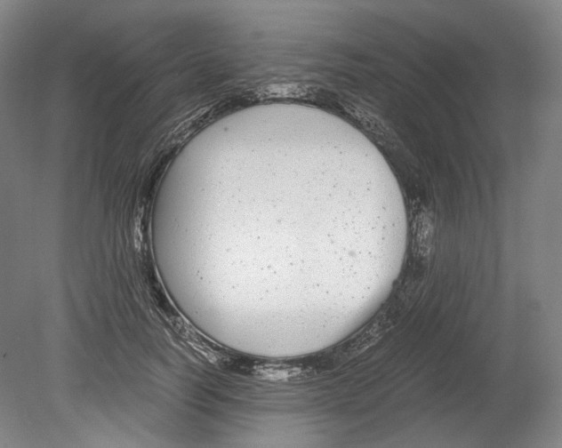 X0000078840746200612111555