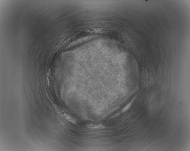 X0000078840747200612111555