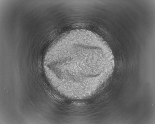 X0000078840749200612111555