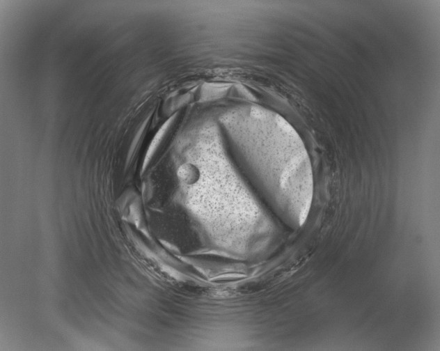 X0000078840750200612111555