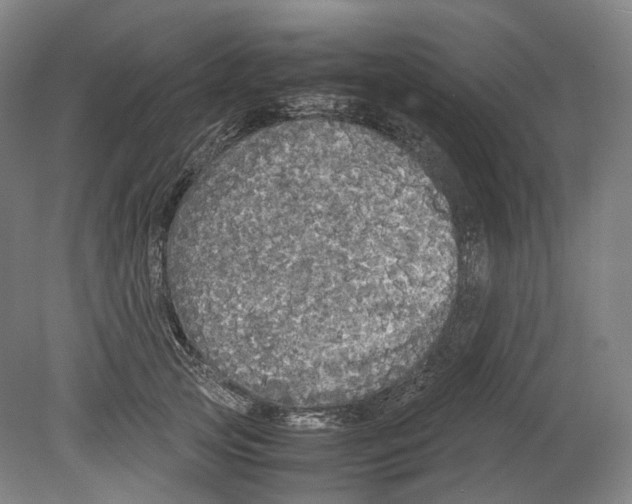 X0000078840753200612111555