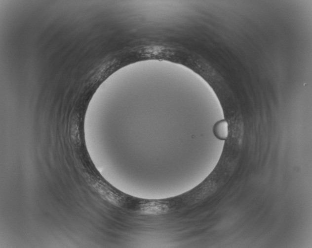 X0000078840754200612111555