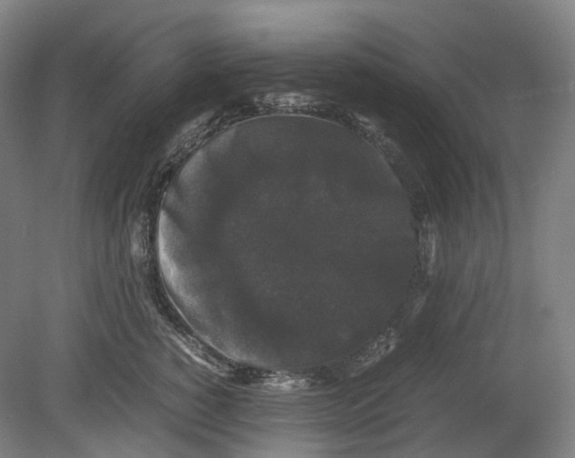 X0000078840760200612111555