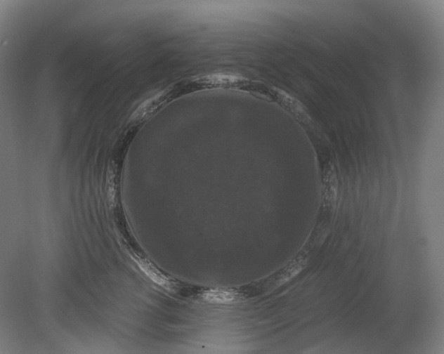 X0000078840762200612111555