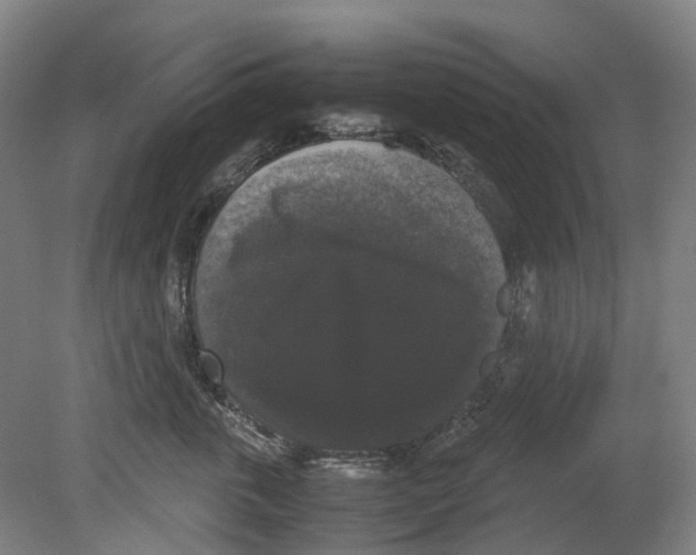 X0000078840763200612111555