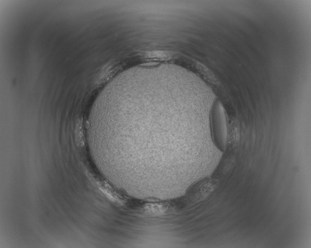 X0000078840764200612111555