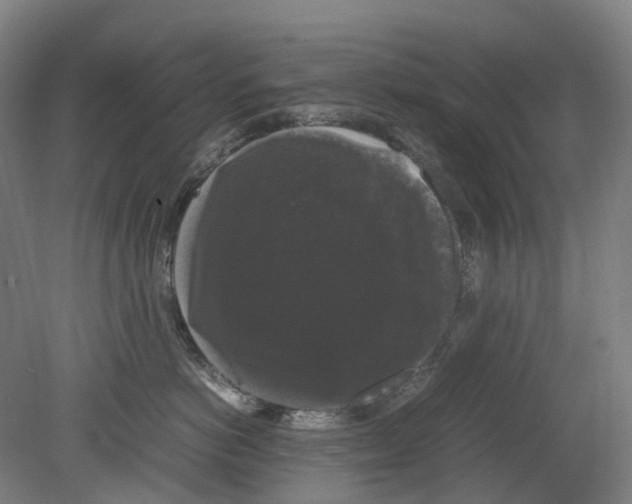 X0000078840766200612111555